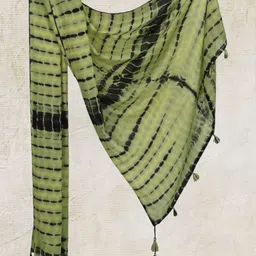 Dupatta Bazaar Women Dyed Abstract Stole With Tasselled Border image 3