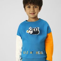 Nauti Nati Boys Colourblocked Sweatshirt-picture-17