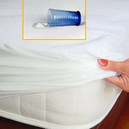 avi Double Size Fitted Terry Cotton, Cotton Breathable, Stretchable, Waterproof Mattress Cover image 1