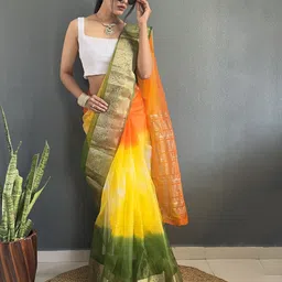 DIVASTRI Ombre Zari Organza Kanjeevaram Saree image 4
