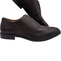 FEET FIRST Men Brown Leather Lace-Up Driving Shoes-image-79