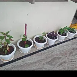 go hooked 10 Inch Plants Pot with Saucer Tray image 4