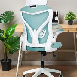 DROGO Blue High Back Computer Chair With Mesh & Lumbar Support Study Chair-picture-50