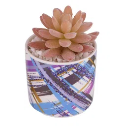 Myntra Elegant Homes Peach-Coloured & Blue Succulent Artificial Plant With Pot image 3