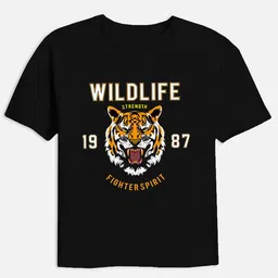 Miss & Chief Boys Pack of 3 rinted T-shirt image 2