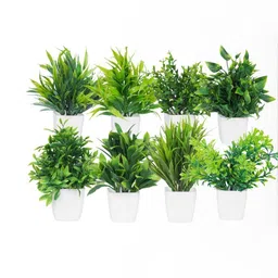 Dekorly Unisex Green Plastic Artificial Flowers & Plants With Pot-picture-11