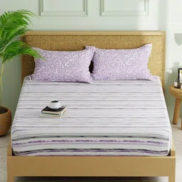 KOPA Grey & Lavender Striped 152 TC Queen Bedsheet with 2 Pillow Covers-picture-22