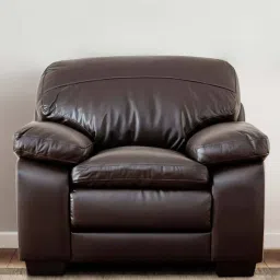 woodsworth from pepperfry Becker Leatherette 1 Seater Sofa in Brown Colour image 1