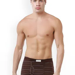 Rupa Macroman Men Pack of 10 Cotton Assorted Striped Mini IE Trunks image 2