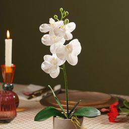Pure Home and Living White 1 Pieces Orchid Artificial Flower With Pot-picture-32