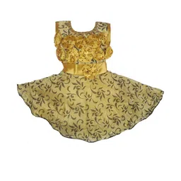 Samjho Fashion Ethnic Motifs Print Georgette Fit And flare Dress-picture-23