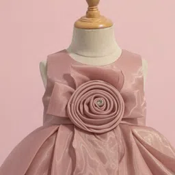 Lagorii Applique Fit & Flare Dress image 2