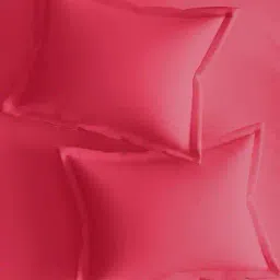 portico Set of 2 Pillow Covers image 4