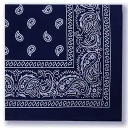 aadikart Unisex Pack of 2 Paisley Print Cotton Bandanas image 4
