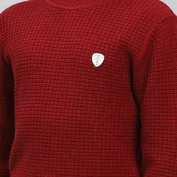 Monte Carlo Boys Self Design Turtle Neck Pullover image 4