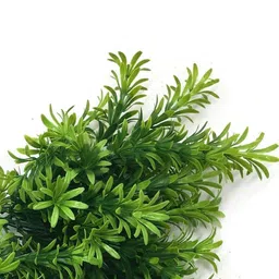 Dekorly Green Plastic Artificial Flowers & Plants Without Pot image 3