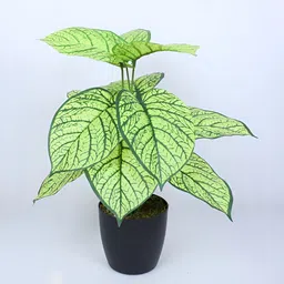 Home Bloom Yellow & Green Artificial Plant With Pot image 5