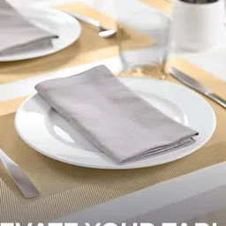 TANLOOMS Camel Brown 6-Pcs Textured Table Placemats image 3