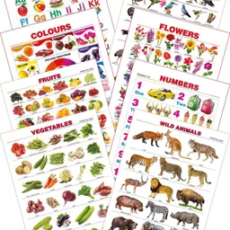 spectrum Kid's 1st Learning Charts [S] : Set 1 (English Alphabets, Birds, Colours, Flowers, Fruits, Numbers 1 to 10, Vegetables & Wild Animals)-picture-27