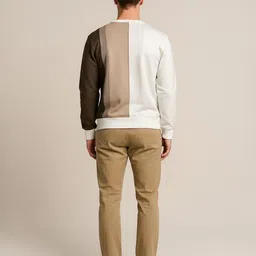 Octave Men Colourblocked Sweatshirt image 4