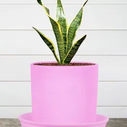 LASAKI Sara Purple Ceramic Handmade Planter With Plate-picture-15