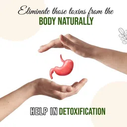 attar ayurveda WheatGrass Tablets (500mg) image 4