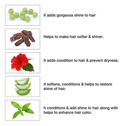 Neera Set Of 30 Herbal Henna Based Hair Color - 10 g Each - Natural Black image 3