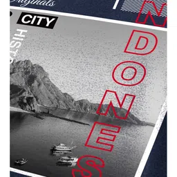 Moda Rapido Men Graphic Printed Round Neck long sleeves Pullover Sweatshirt image 2