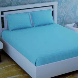 goddess decor Sky Blue Stripes 280 TC Cotton King Sized Bed Sheets with 2 Pillow Covers-picture-18