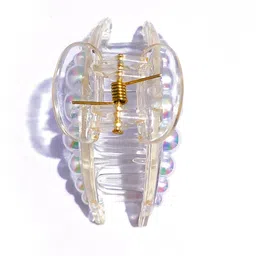 SH FSN Women Set of 2 Claw Clip image 2