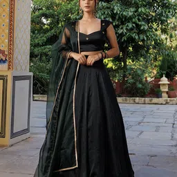 Ragavi Embroidered Ready to Wear Lehenga & Blouse With Dupatta-picture-24