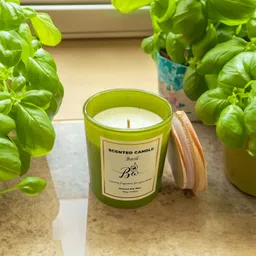 bebos world private limited BW Wax & Wick Basil Scented Candle Jar 160g Candle image 2