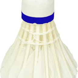 kaizen Silver Badminton Shuttle Feather Shuttle - White image 2