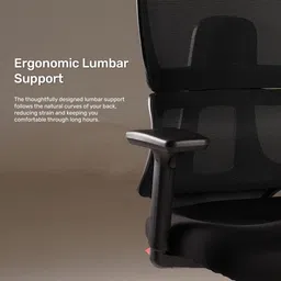 durian Vestra Mesh, Fabric Office Executive Chair image 5