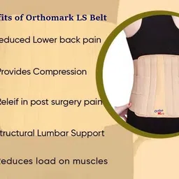 orthomark Lumbar Support LS Belt for Men & Women Back Pain Relief Slip Disc Spine support Back / Lumbar Support image 5