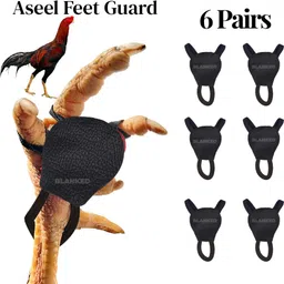 blanked Orthopedic Perch Bird image 1