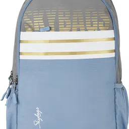 skybags Large 35 L Laptop Backpack STRIDER PRO 07 LAPTOP (H) GREY-picture-16