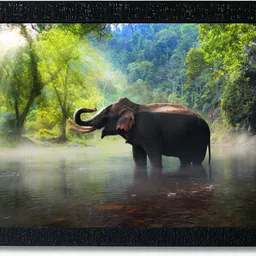kagaz kala Wild animal posters framed for wall decoration Photographic Paper-picture-13