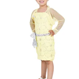 BAESD Girls Net Embellished Sequined A-Line Dress image 4