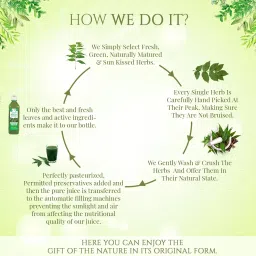 Axiom Neem Leaf Juice (Azadirachta Indicus)|Goodness of Neem Leaves | Natural Blood Purifier|Helpful in Skin Problems - 500ml image 3