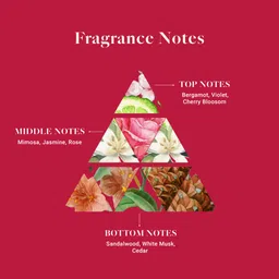 adeha Room Air Freshener, - Whispering Woods, Long-Lasting Fragrance, for Home & Office Car Freshener Spray image 4