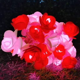 nisco 20 LEDs 4 m Yellow Steady Flower Rice Lights-picture-23