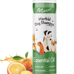 petvogue Hypoallergenic, Anti-fungal, Anti-itching, Anti-microbial, Anti-parasitic Fruity Dog Shampoo-picture-24