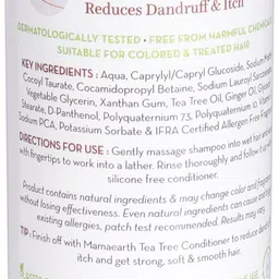 Mamaearth Sustainable Tea Tree Anti Dandruff Shampoo With Ginger Oil 250 ml image 4