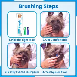 breedo Cool Mint Toothpaste and 2Pcs Dog Toothbrush Combo for Dogs - 100g | Pet Toothpaste image 2