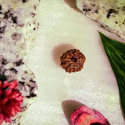 beautum Wood Pendant-picture-11