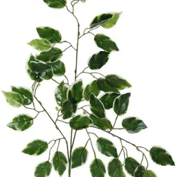 well art gallery Ficus Leaves for Home,Indoor and Outdoor d?cor(42 Leaves, 60 cm Tall) Green, White Forsythia Artificial Flower image 3