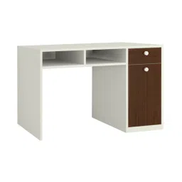 adona Alana Study Desk with Cabinet Drawer and Shelf in Ivory Coffee Walnut Colour-picture-13