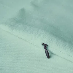 Encasa Homes Green 2 Pieces Cotton Square Cushion Covers image 4