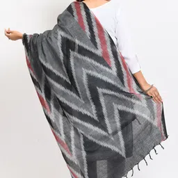 moeza Cotton Blend Woven Multicolor Women Dupatta image 4